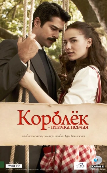 Смотреть онлайн Королёк – птичка певчая 2013 смотреть онлайн